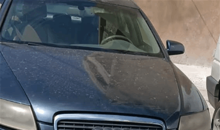 سرقا سيارة في غزير... فوقعا في قبضة قوى الأمن بعد ساعات في مجدليا