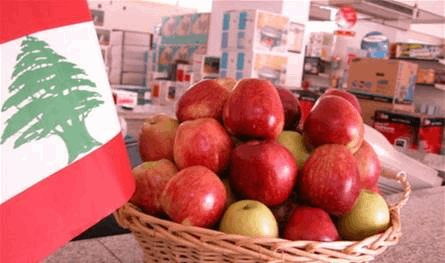 تجربة محلية تكسر أزمة التفاح... والنتائج تلفت الأنظار