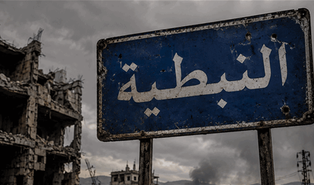 النبطية تقولها باسم كل الجنوب: نريد الدولة ونريد الجيش