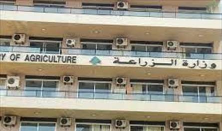 وزارة الزراعة تواصل تنفيذ خارطة طريق موسم 2026