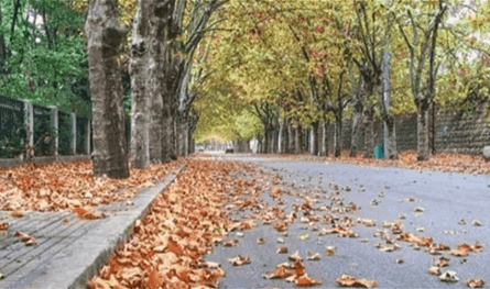 طقس خريفي يسيطر على الأجواء...هذه تفاصيل الطقس