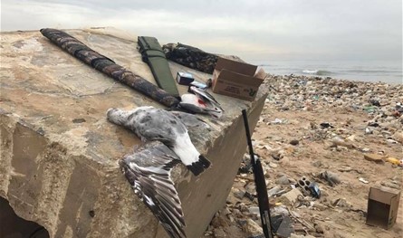 برسم المعنيين: من المطار إلى &quot;عذرا&quot; كسروان.. الصيد يُثير الهلع!
