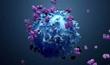 لأول مرة... رصد "أوميكرون" في الحيوانات البريّة!