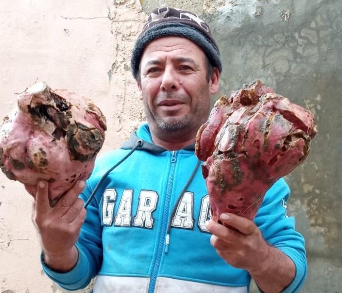 5e26e7012c466_1637-637152129535403231.jp