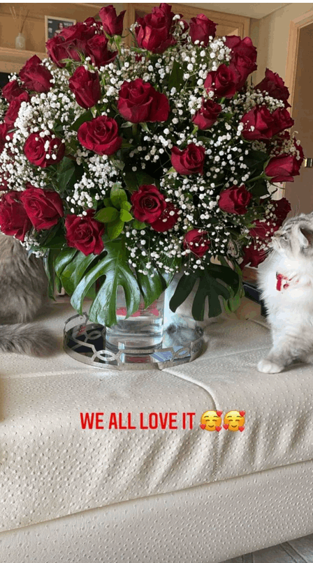 بعد مفاجأة ميلادها.. هكذا إحتفل أبو هشيمة بعيد الحب مع ياسمين صبري 1