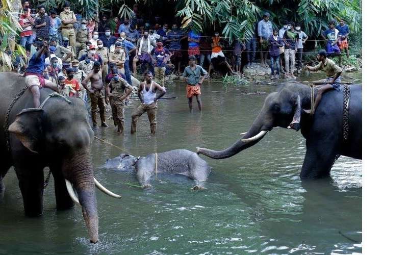 gravement-blessee-l-637268613723718195.j