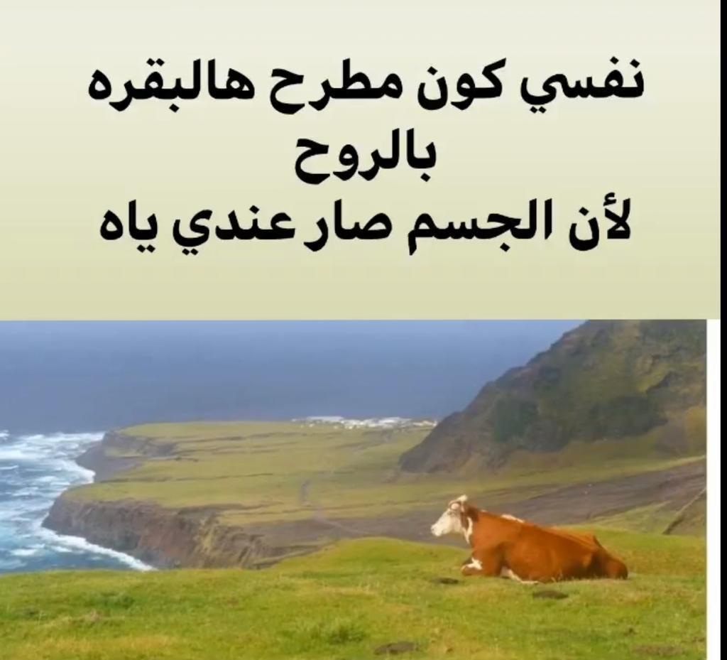 thumbnail_IMG-20200319-WA0069-6372037704