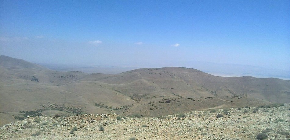 PGB-23810-6367052977155804941280x960.jpg