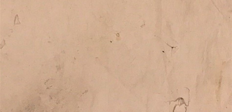 PGB-494685-6367056713469341125b4f3c40581e2.jpeg