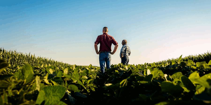 U.S. agriculture pays the price of tariffs and the Iran war