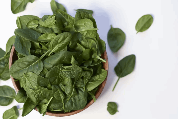 Spinach against constipation... Why do nutrition experts recommend it?