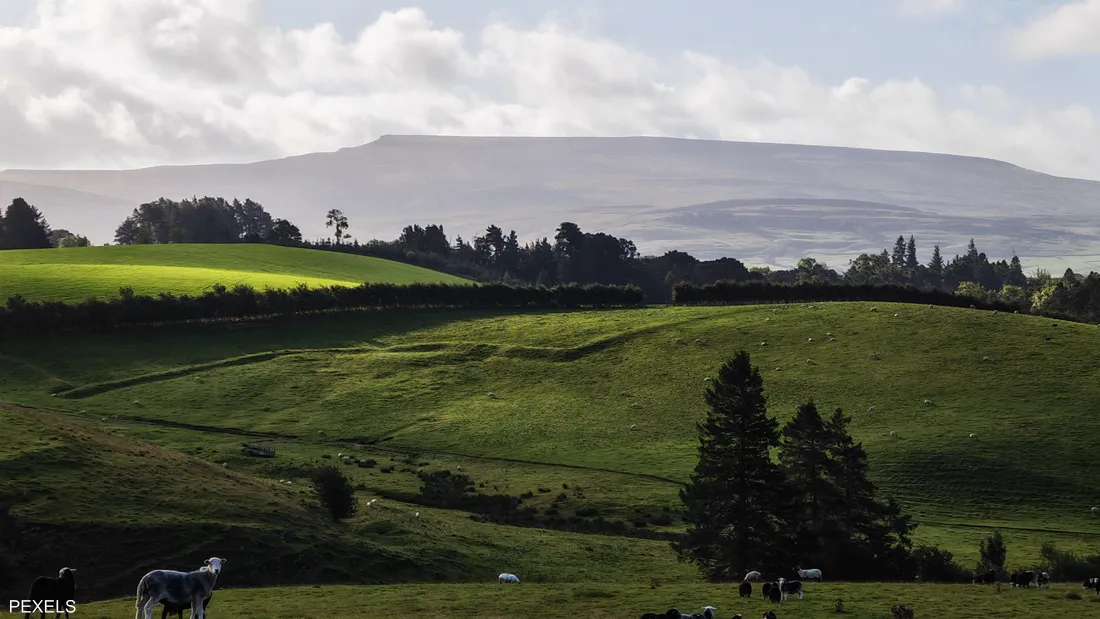 A British village shrouded in mystery... Tales of witches dating back to the seventeenth century