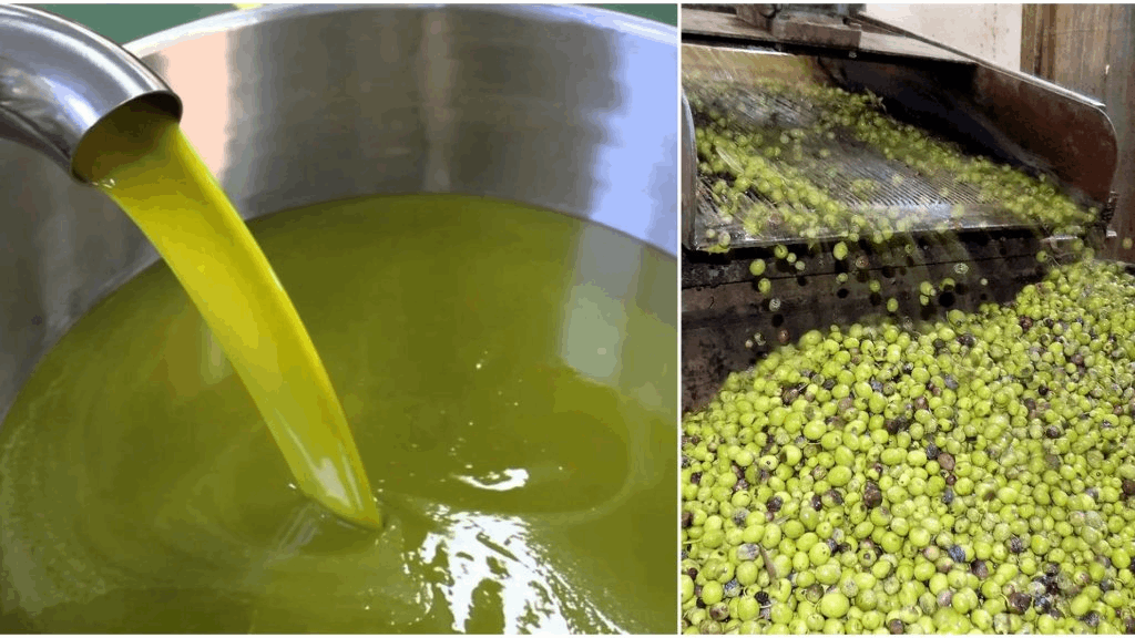 “Olive oil” running out?!