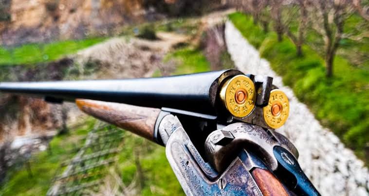 Has hunting become permissible?
